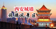 娇妻被打开双腿灌满白浆在线观看中国陕西-西安城墙旅游风景区